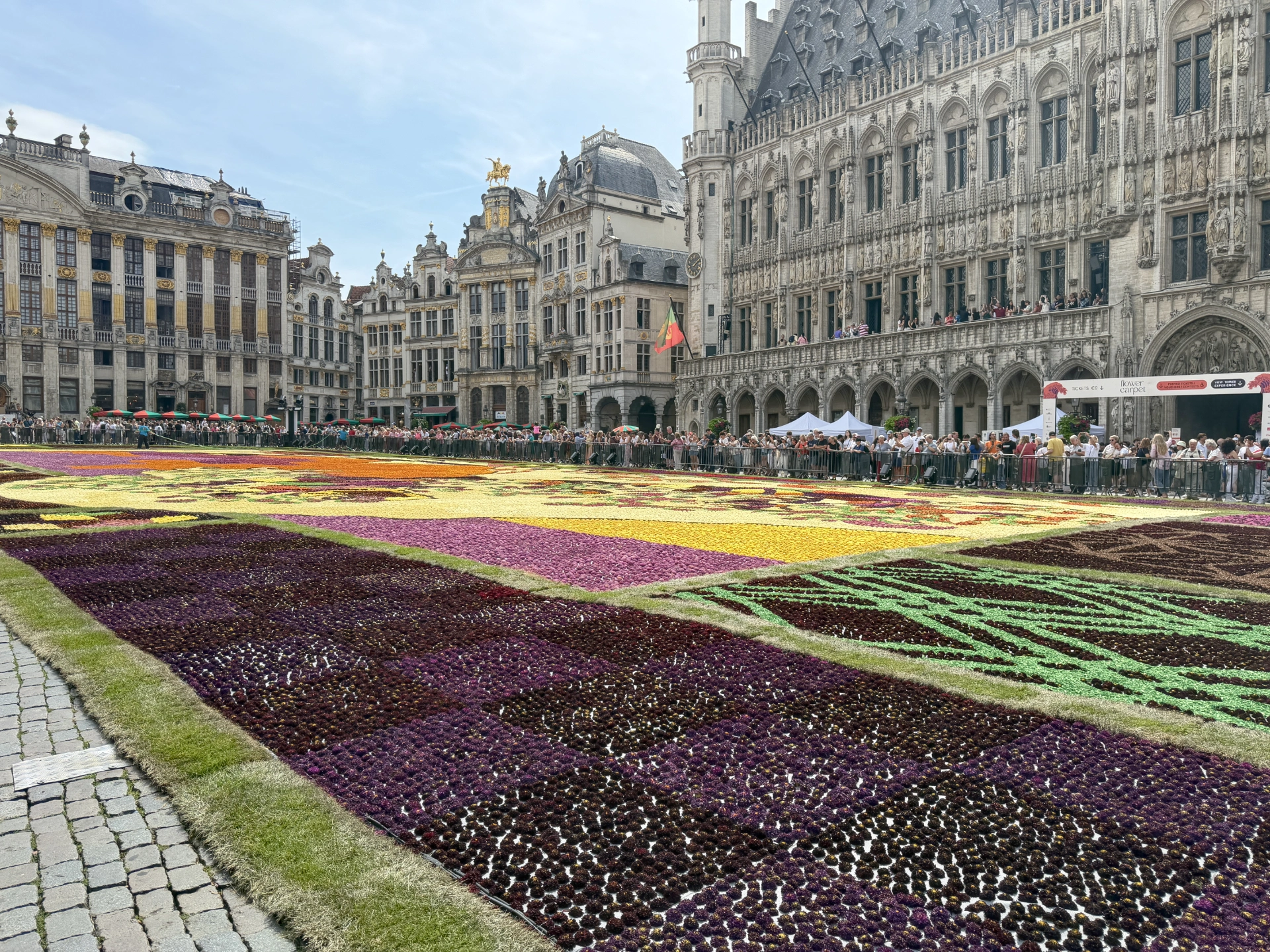 Brüsseler Blumenteppich 2026 – Flower Carpet auf dem Grand Place
